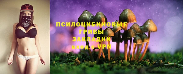 МДПВ Верхнеуральск