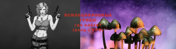 a pvp Вязьма