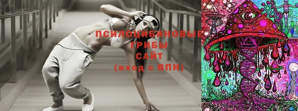 2c-b Вяземский