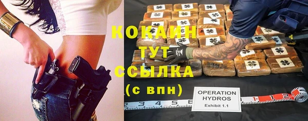 дживик Верея