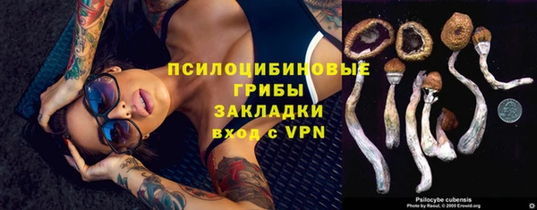 дживик Верея
